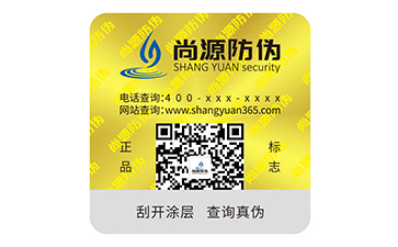 可变二维码防伪标志
